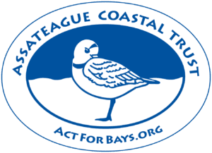 Assateague-Coastal-Trust